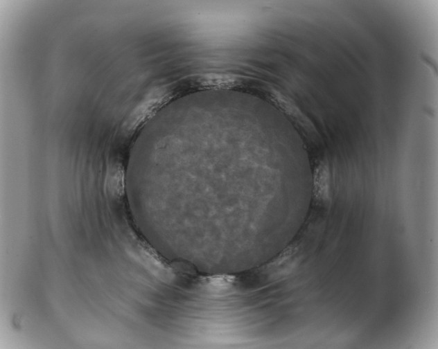 X0000102840474200808251200