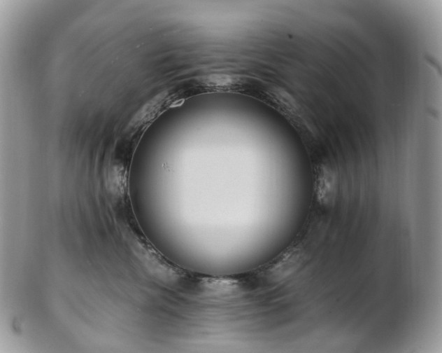 X0000102840476200808251200