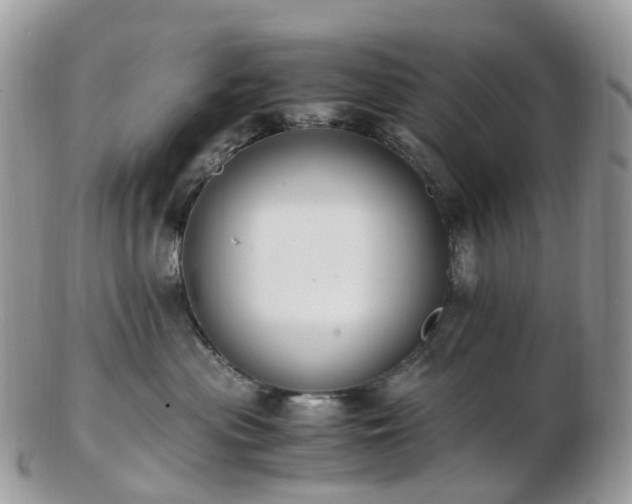 X0000102840477200808251200