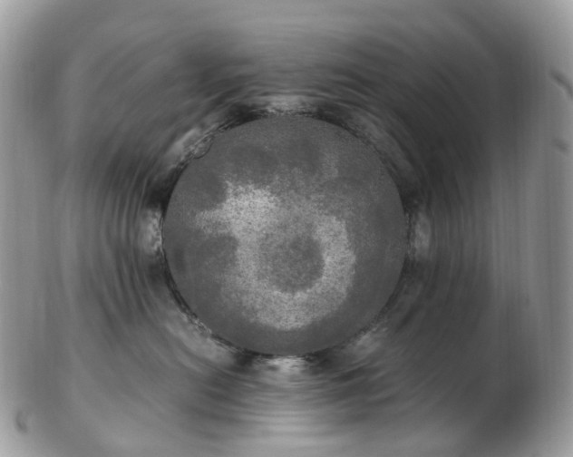 X0000102840478200808251200