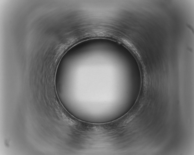 X0000102840481200808251159