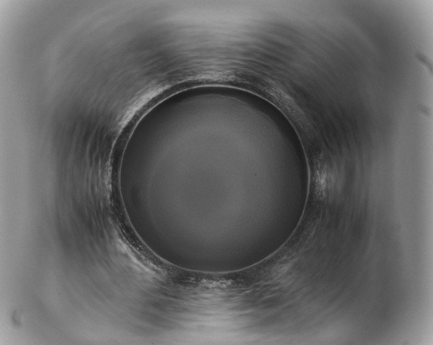 X0000102840484200808251159