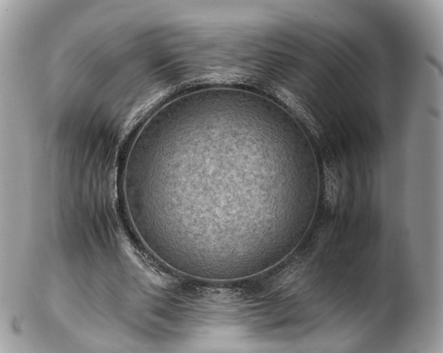 X0000102840486200808251159