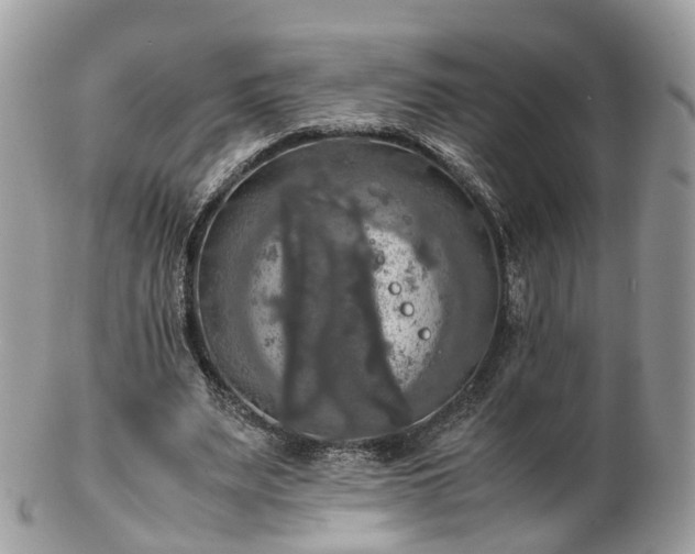 X0000102840487200808251159