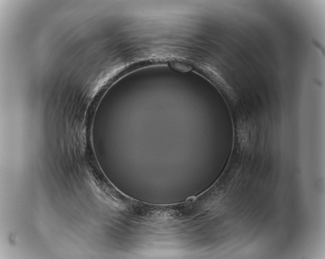 X0000102840488200808251159