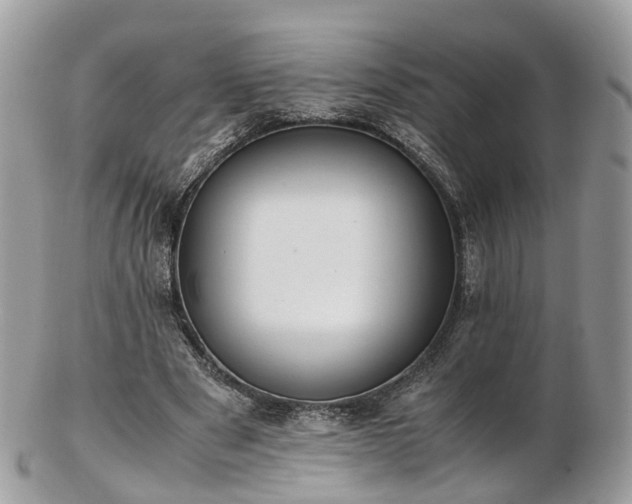 X0000102840489200808251159