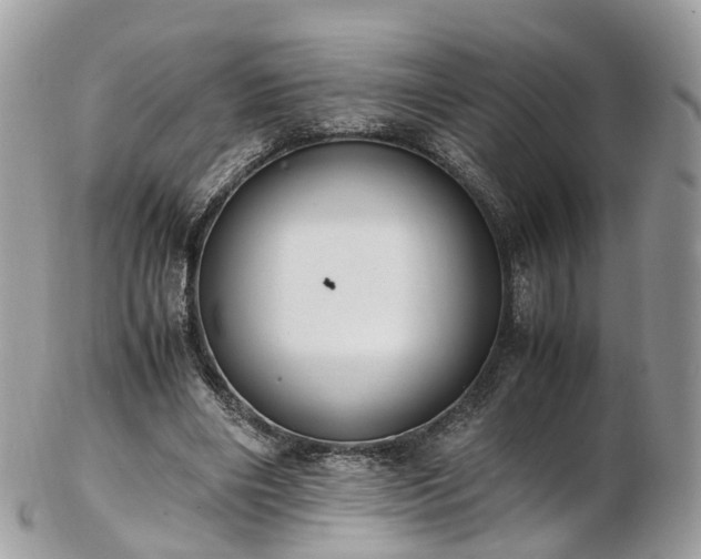 X0000102840490200808251159