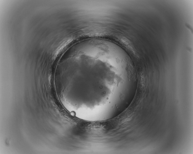 X0000102840491200808251159