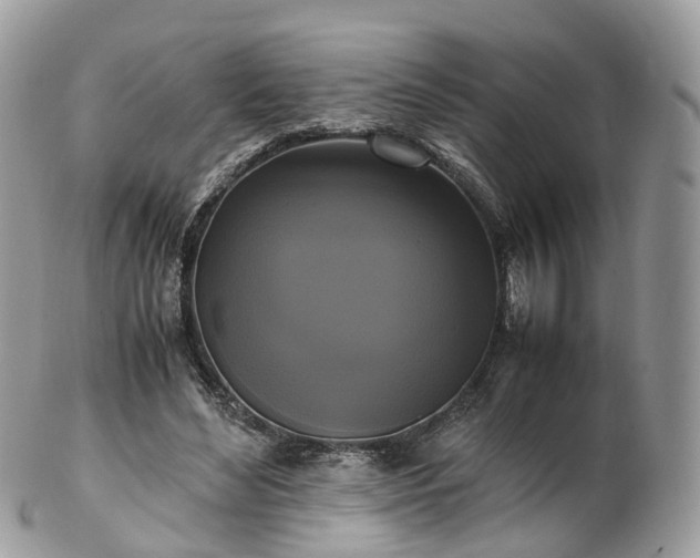 X0000102840492200808251159