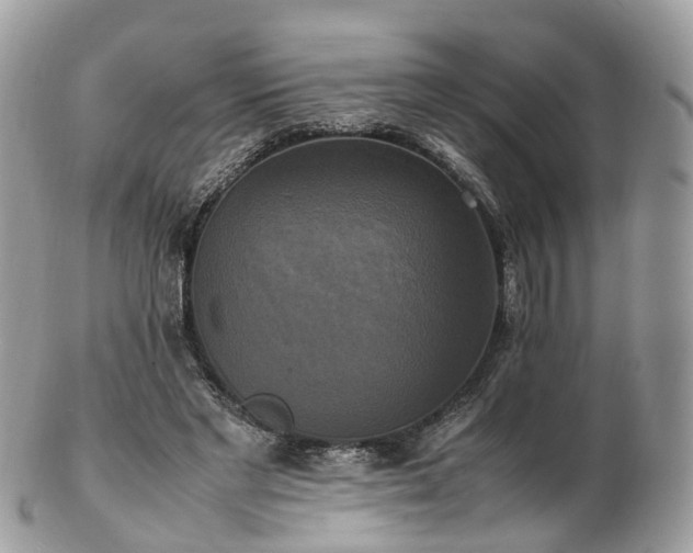 X0000102840493200808251159