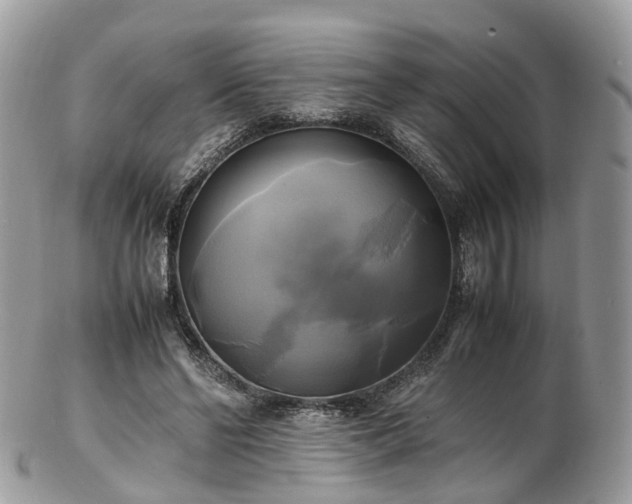 X0000102840494200808251159