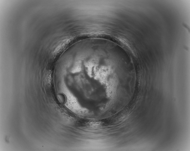 X0000102840495200808251159