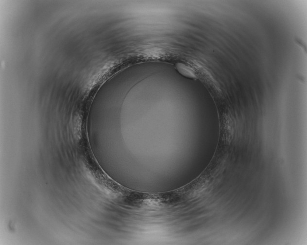 X0000102840496200808251159