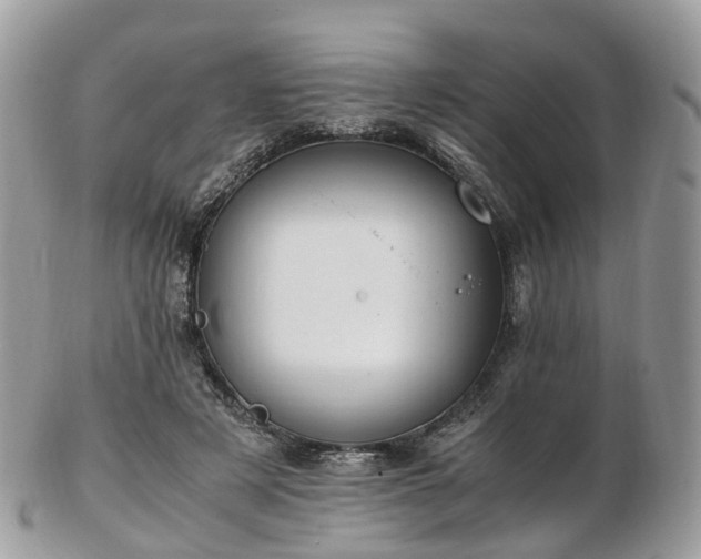 X0000102840497200808251159