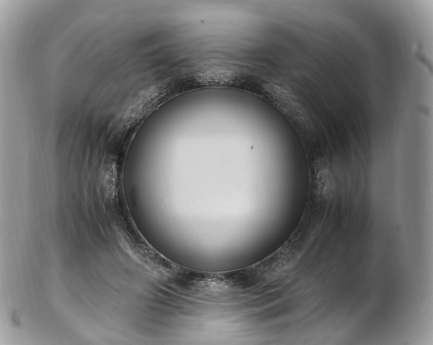 X0000102840498200808251159