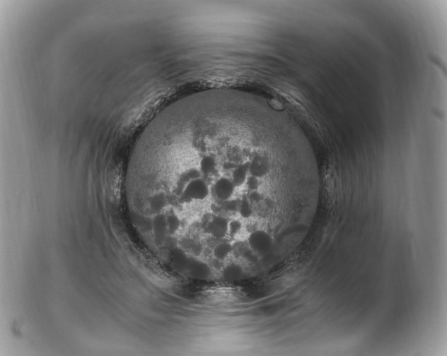 X0000102840499200808251159