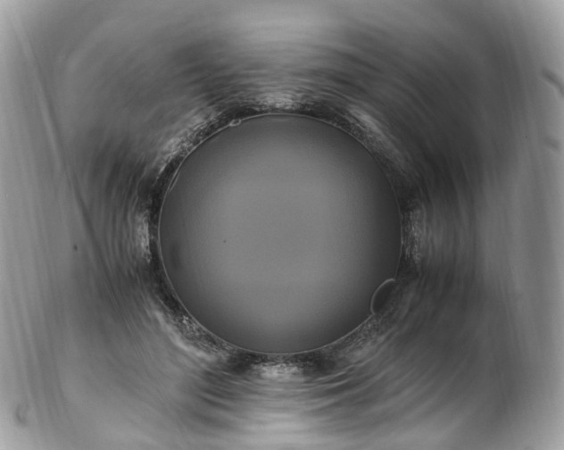 X0000102840500200808251159