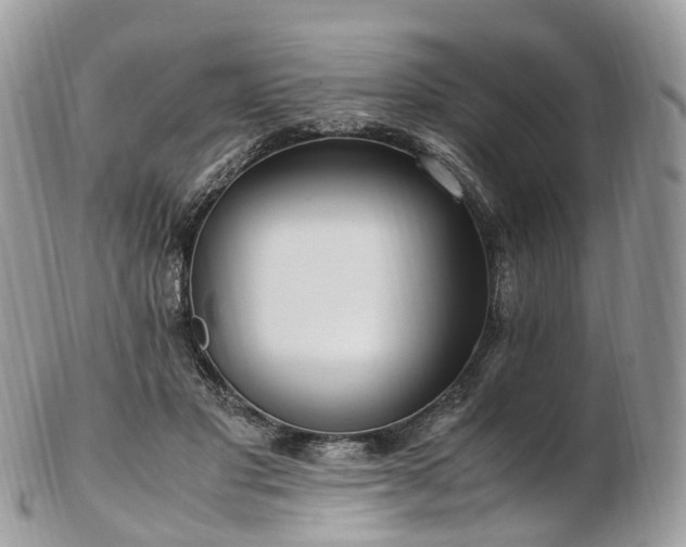 X0000102840501200808251159