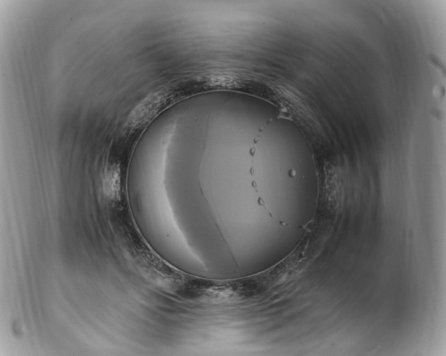 X0000102840502200808251159