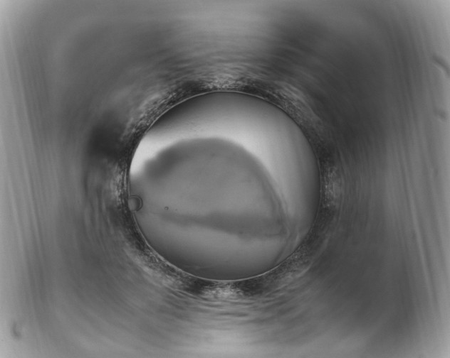 X0000102840503200808251159