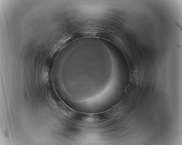 X0000102840504200808251159