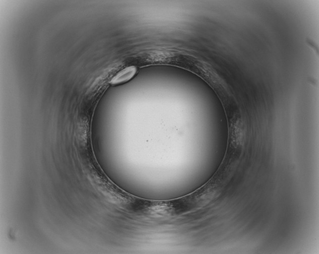 X0000102840505200808251159