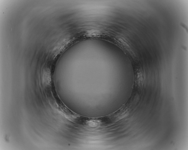 X0000102840508200808251159