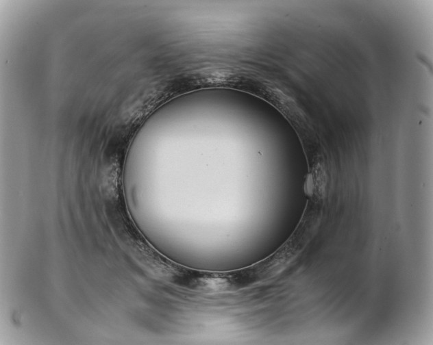 X0000102840509200808251159