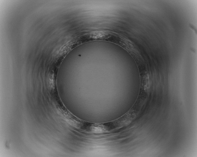 X0000102840510200808251159