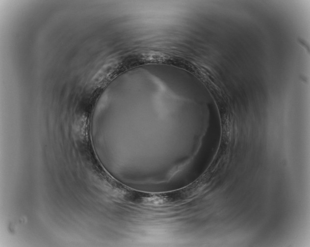 X0000102840511200808251159