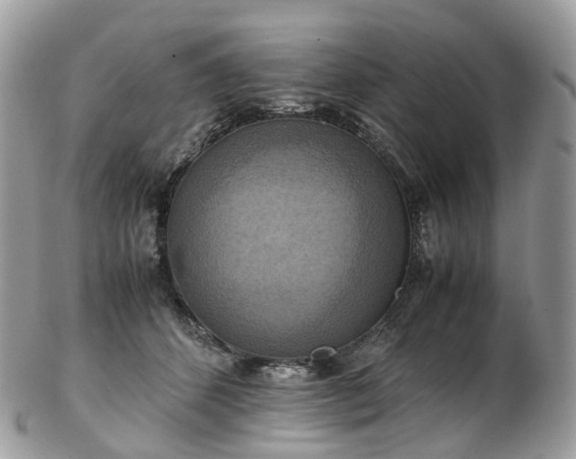 X0000102840512200808251159