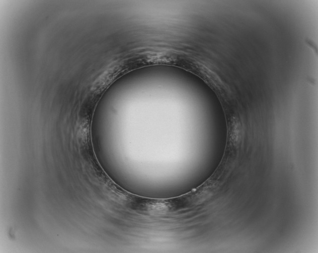 X0000102840513200808251159