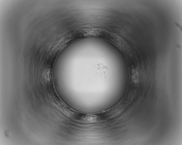 X0000102840514200808251159