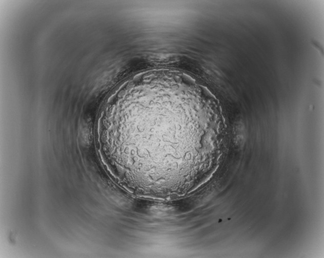 X0000102840515200808251159