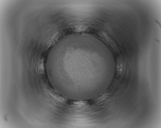 X0000102840516200808251159