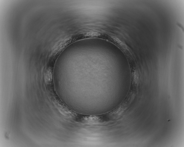 X0000102840517200808251159