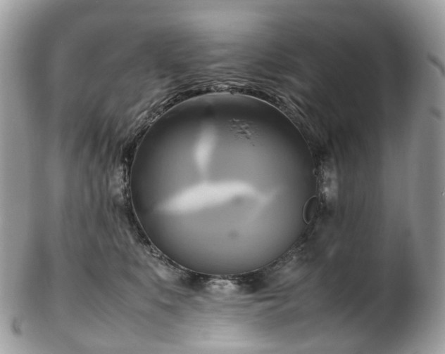 X0000102840519200808251158