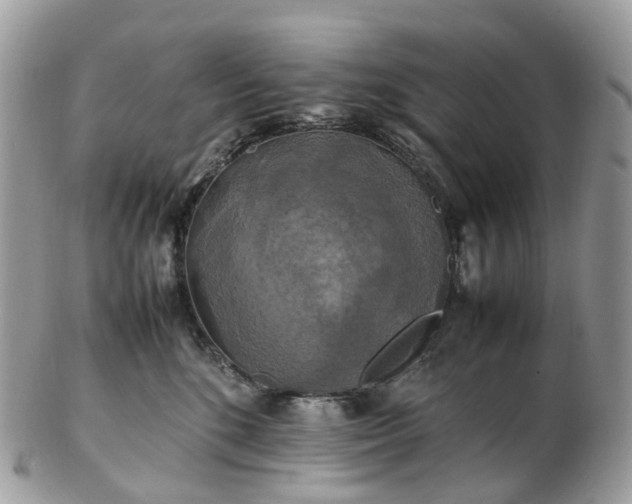 X0000102840520200808251158