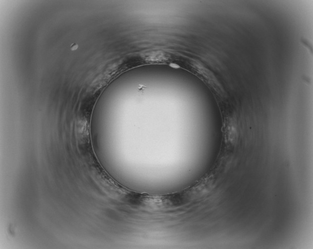 X0000102840521200808251158