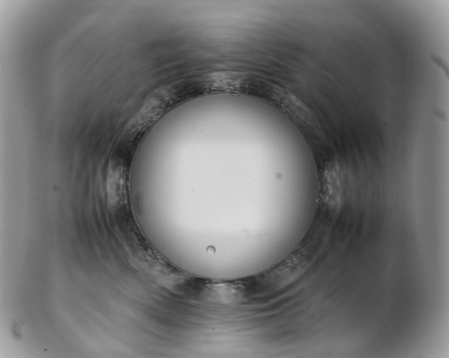 X0000102840522200808251158