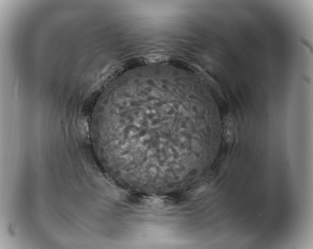 X0000102840523200808251158