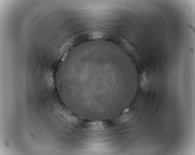 X0000102840524200808251158