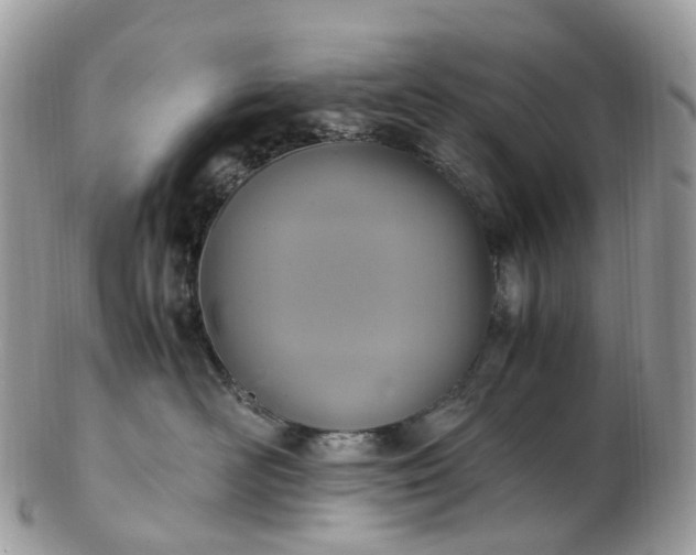 X0000102840526200808251158