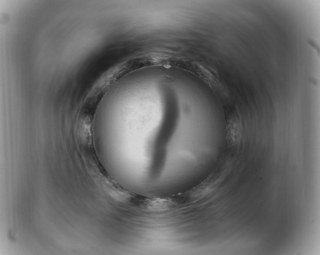 X0000102840527200808251158