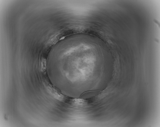 X0000102840528200808251158