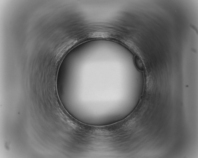 X0000102840529200808251158