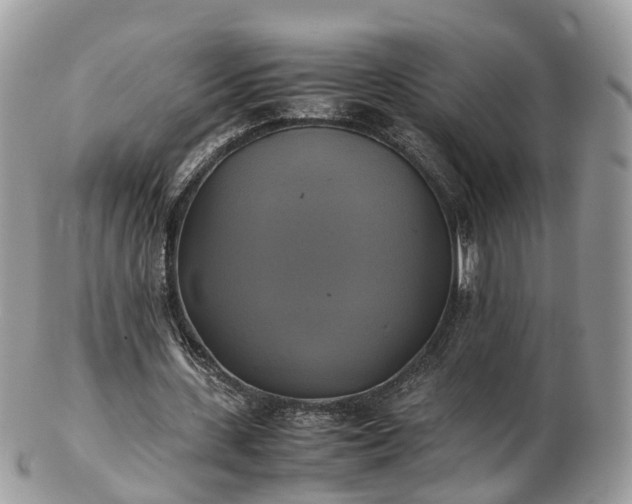 X0000102840531200808251158