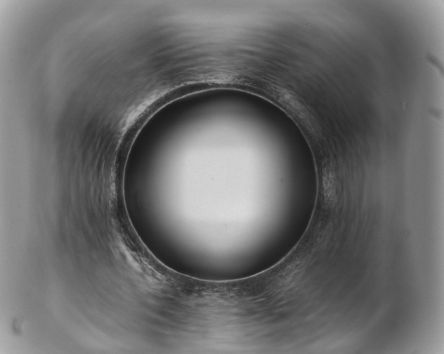 X0000102840532200808251158