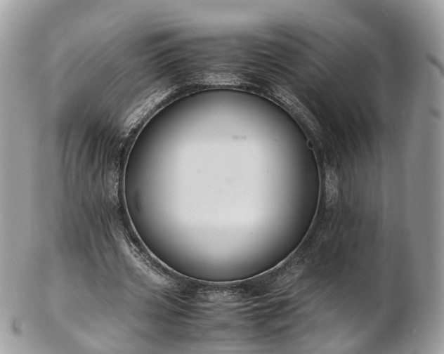 X0000102840533200808251158