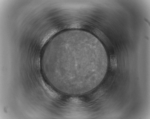 X0000102840534200808251158